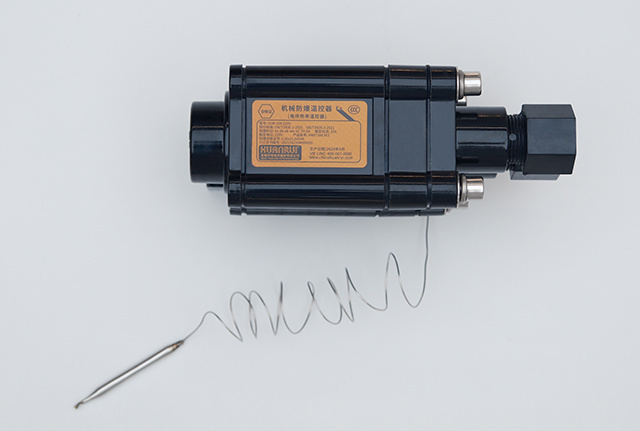 BJW电伴热防爆温控器